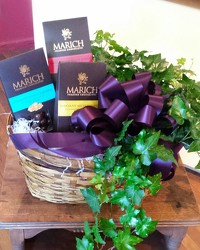 Plant & Chocolate Gift Basket from Twigs Flowers and Gifs in Yerington, NV